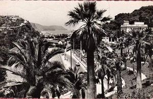 Beni saf 80